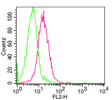 Monoclonal Antibody to OCIL  (Clone: ABM17H3)